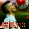 ��ӥ310