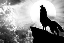 一个宝箱app下载-一个宝箱安卓版v1.1.7