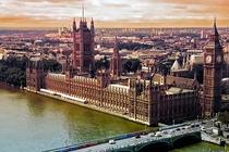 羊了羊了挑战最新版下载-羊了羊了挑战游戏下载v1.1 安卓版