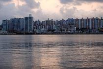 YY体育下载链接游戏截图2