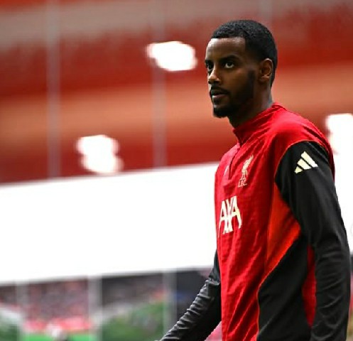 ˹����ȷ�ϣ��������������µ׻ع�ѵ��