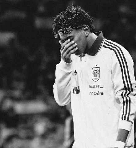 �����ٷ�ȷ�ϣ��������Ƚ����ˣ�������ǰ����