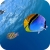 freelird1212