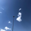 ţ