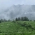 玛汝黛兄