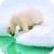 wx_995859815