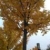 wx_351649247