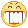face_iocn05
